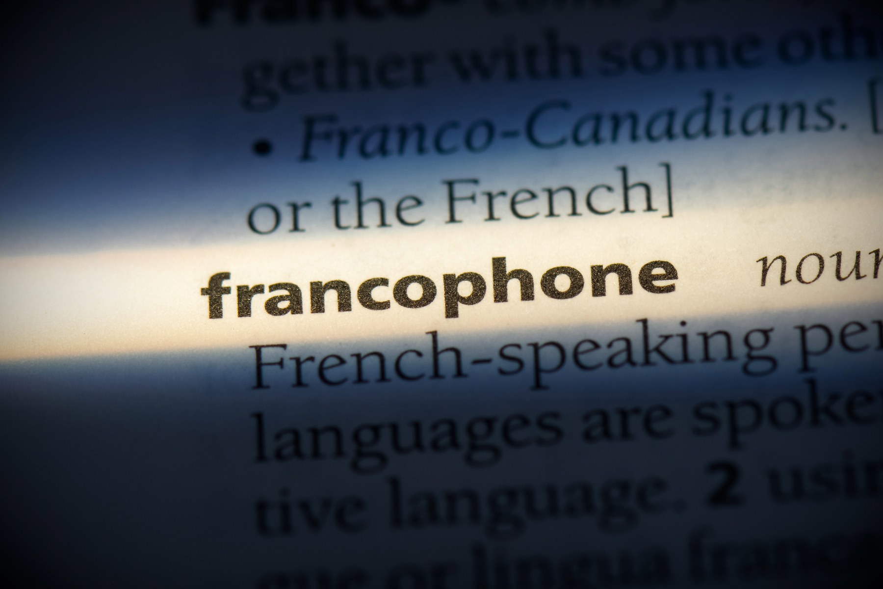 Institute in Paris students invite Michèle Gendreau-Massaloux to ...