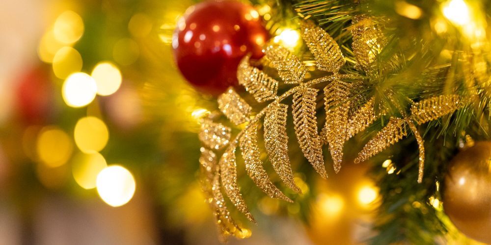 Senate House Christmas