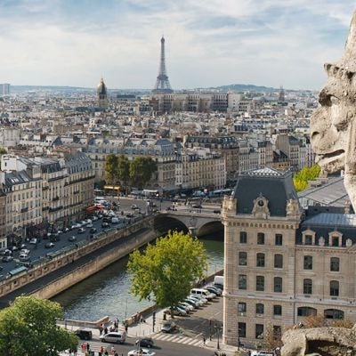 Gargoyle in the foreground with Paris and the Eiffel Tower in the background