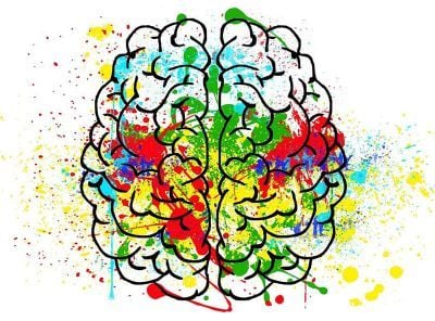 Brain illustration