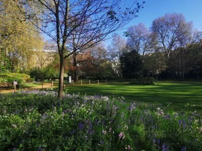 Wide angle shot of Gordon Square in the sunshine