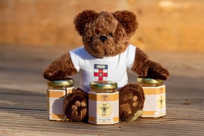 University of London bear with honey 