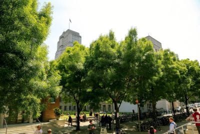 North Quad view from SOAS with trees looking towards Senate House tower