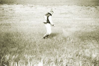 Man spraying something onto crops