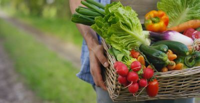 Person holding a basket full of vegetables.