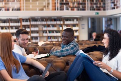Undergraduate Students in the Library