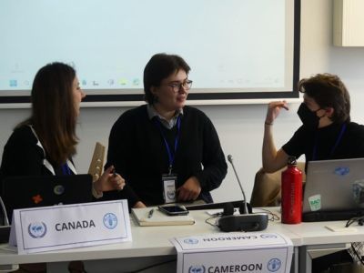 ULIP Students in discussion at the model UN